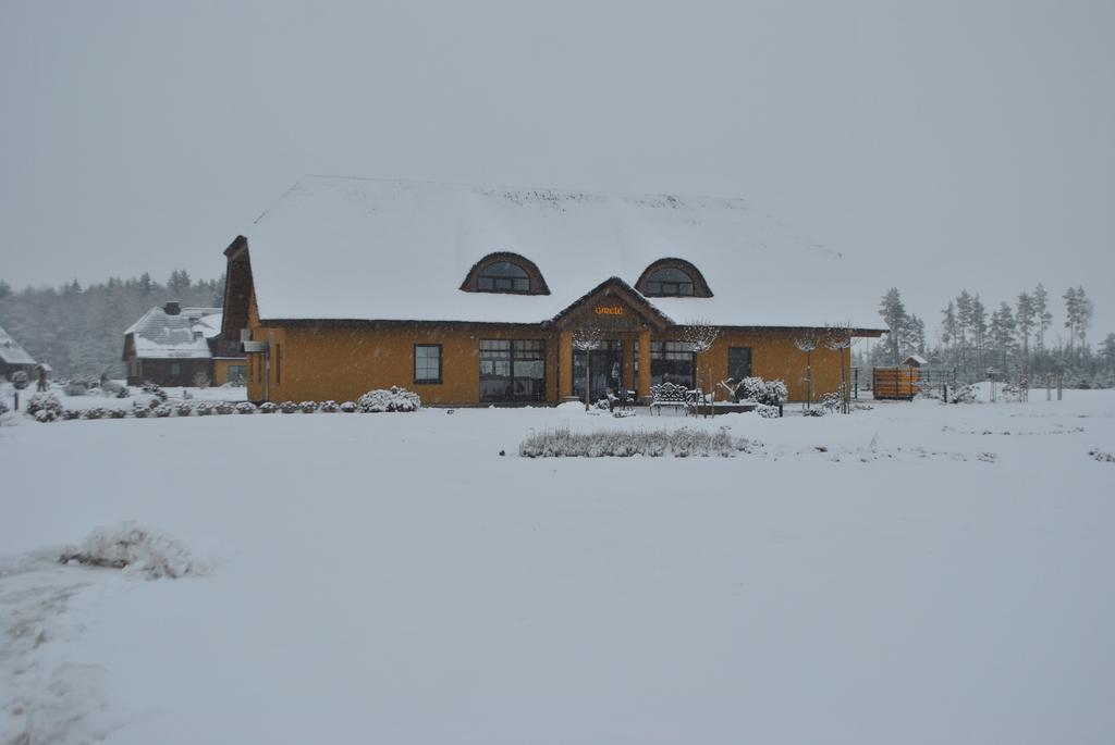 Girele Guest House Siauliai  Exterior photo